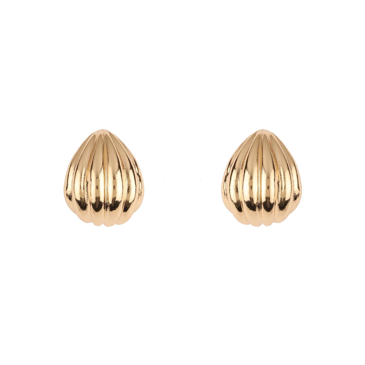 Seashell Hoop