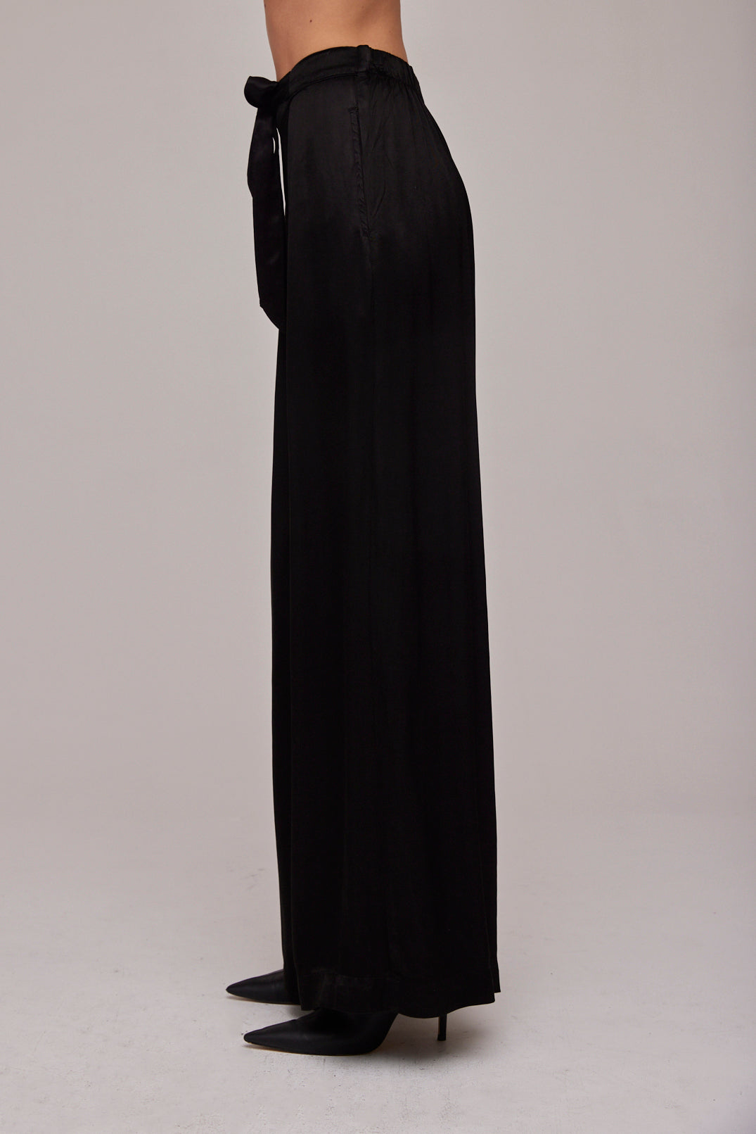Pleat Front Wide Leg Pant