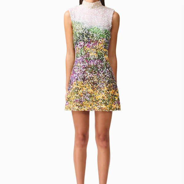 Arden Mini Dress
