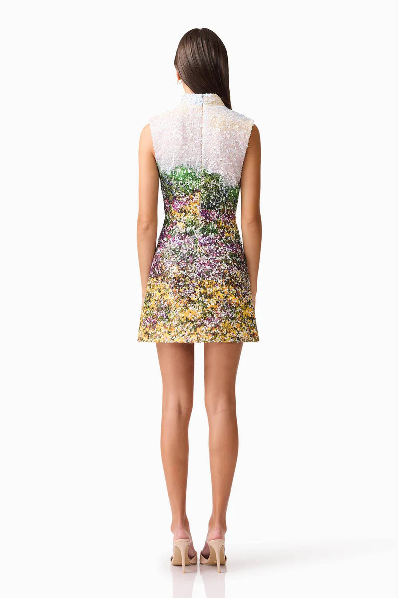 Arden Mini Dress