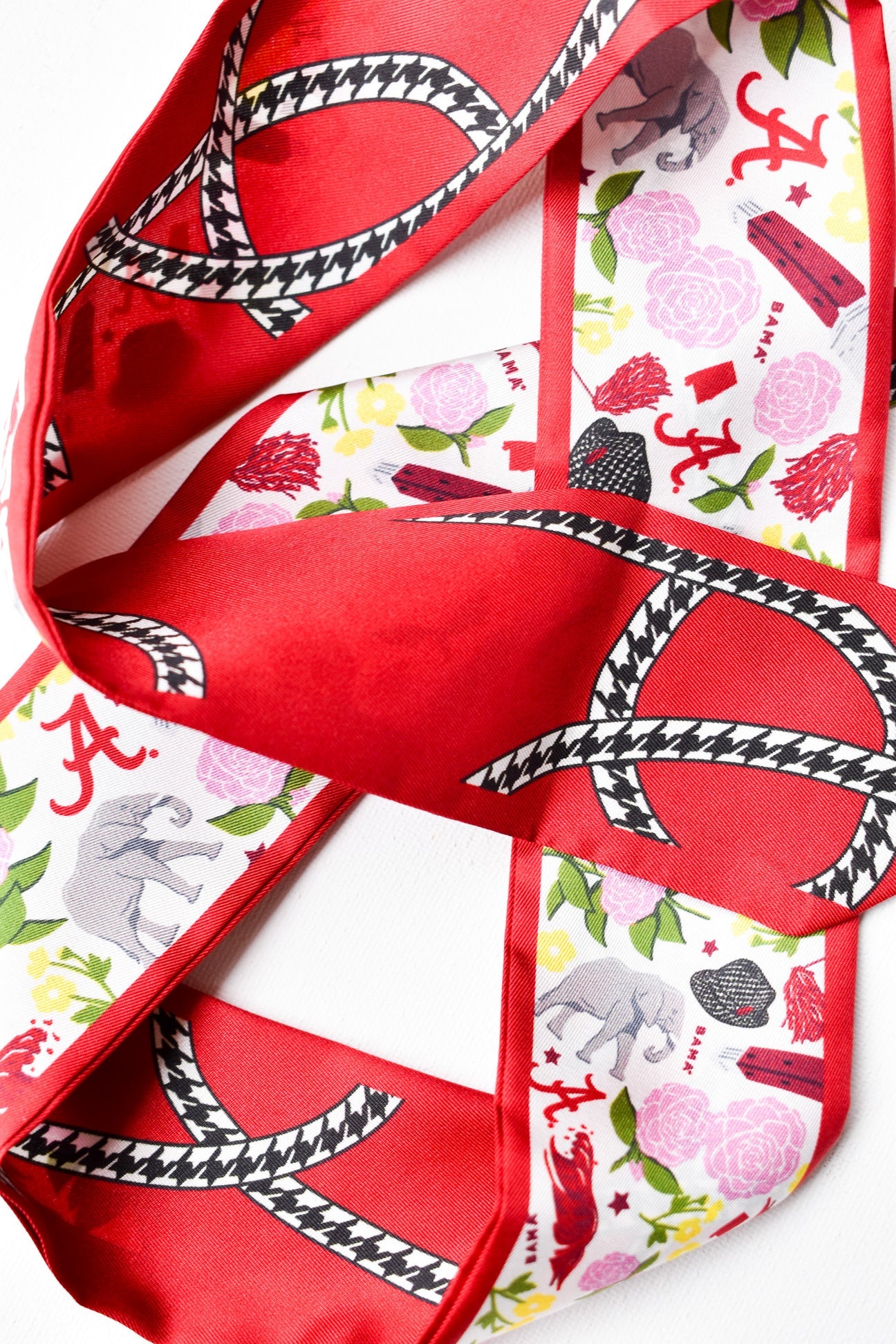Collegiate Skinny Scarf