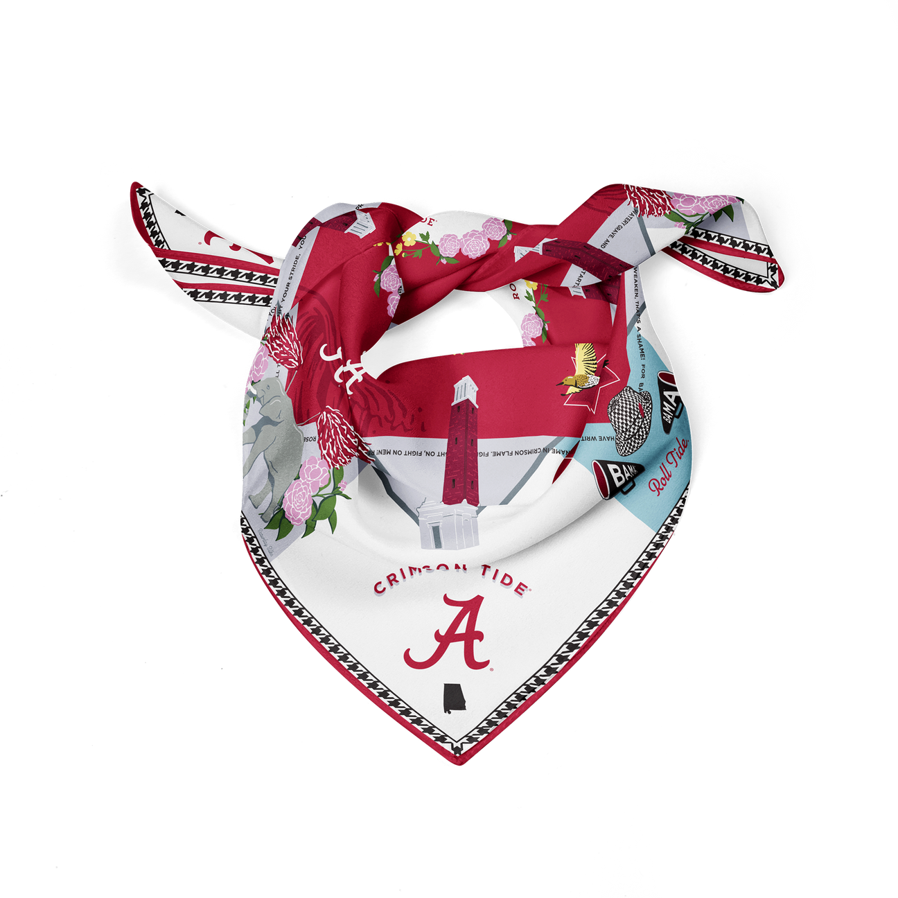 Collegiate Saturday Scarf