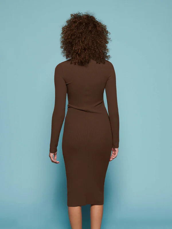 Phoebe Turtleneck Dress