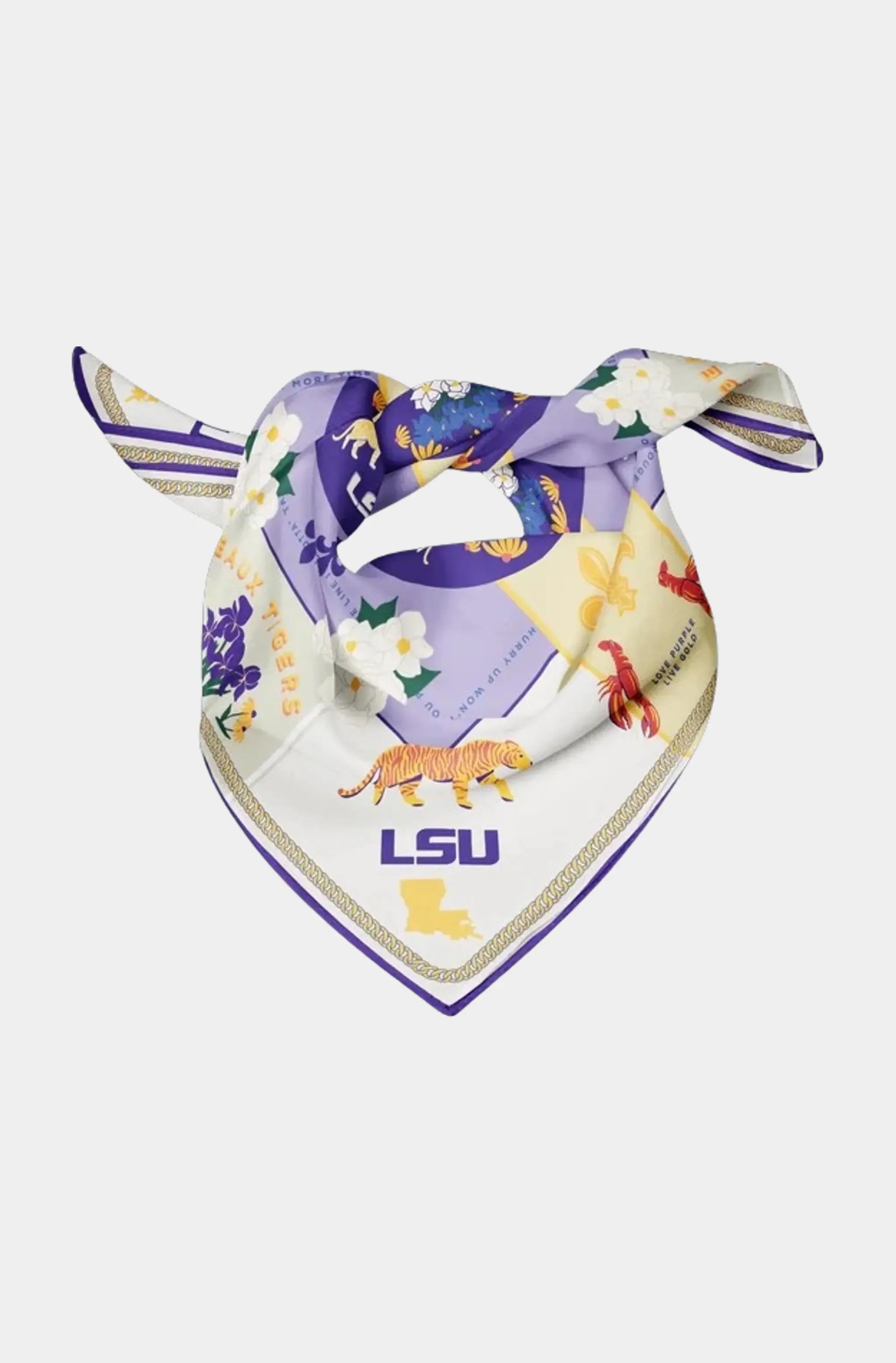 Collegiate Saturday Scarf