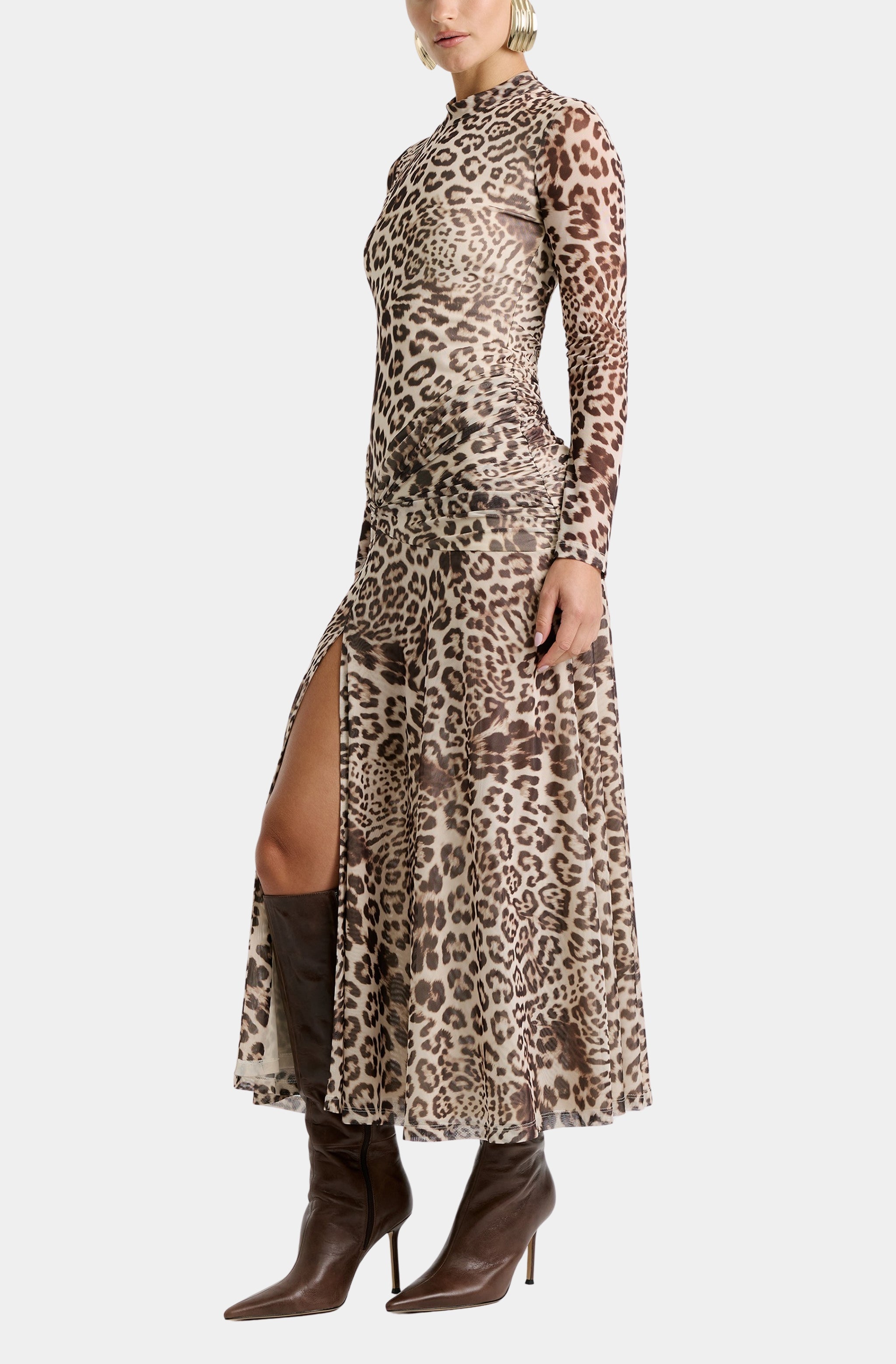 Lea Printed Mesh Dress