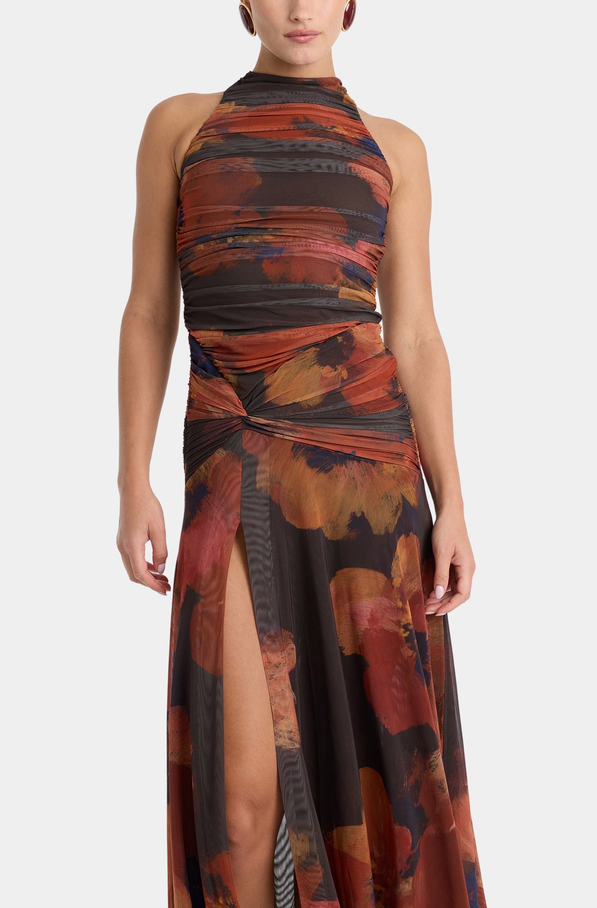 Natalya Mesh Midi Dress