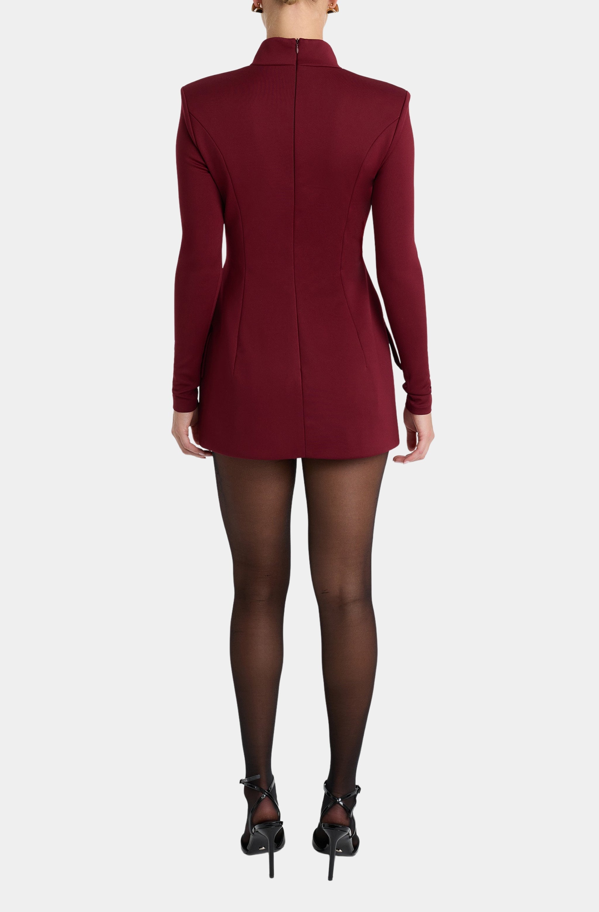 Lizet Long Sleeve Mini Dress