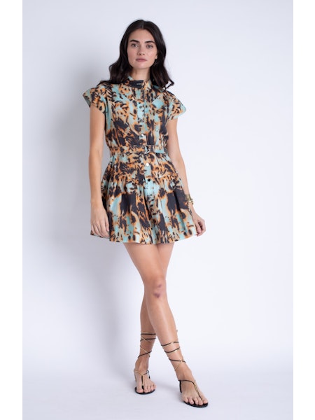 Zelie Print Mini Dress