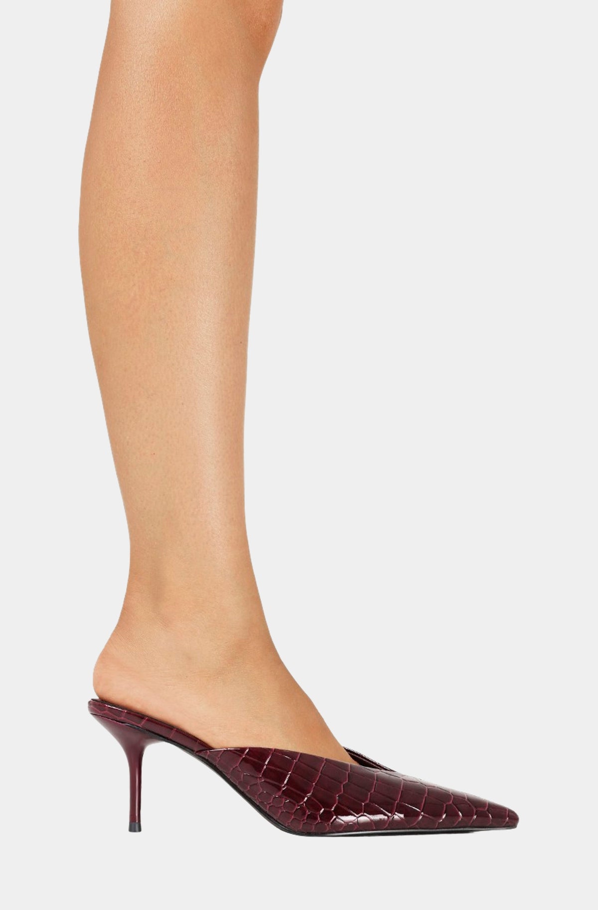 Davie Heel