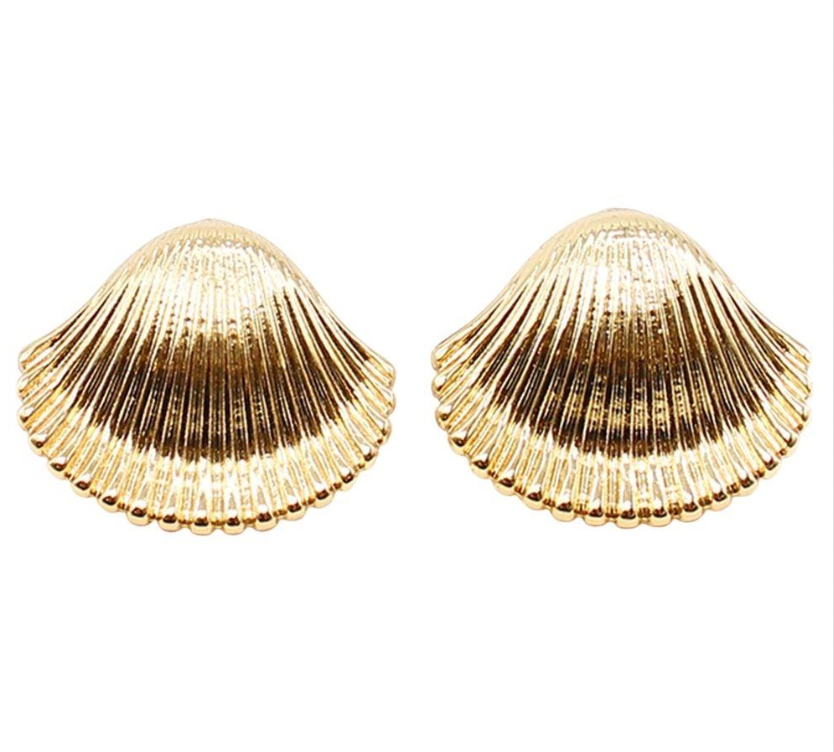 Seashell Earrings