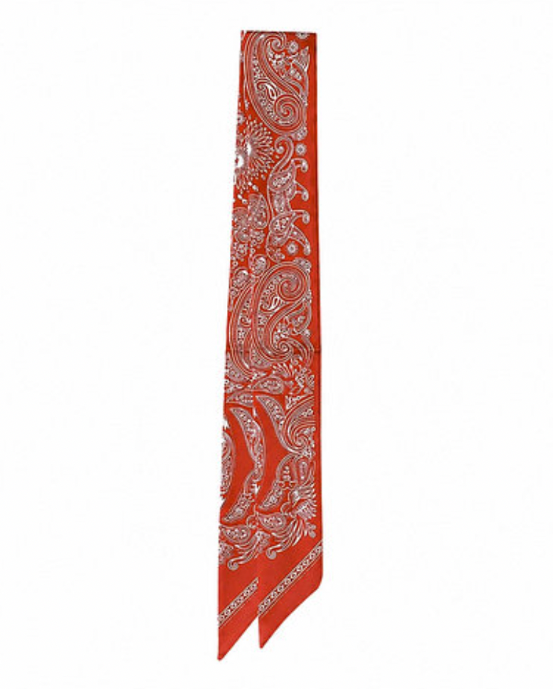 Printed Horse Twilly Scarf