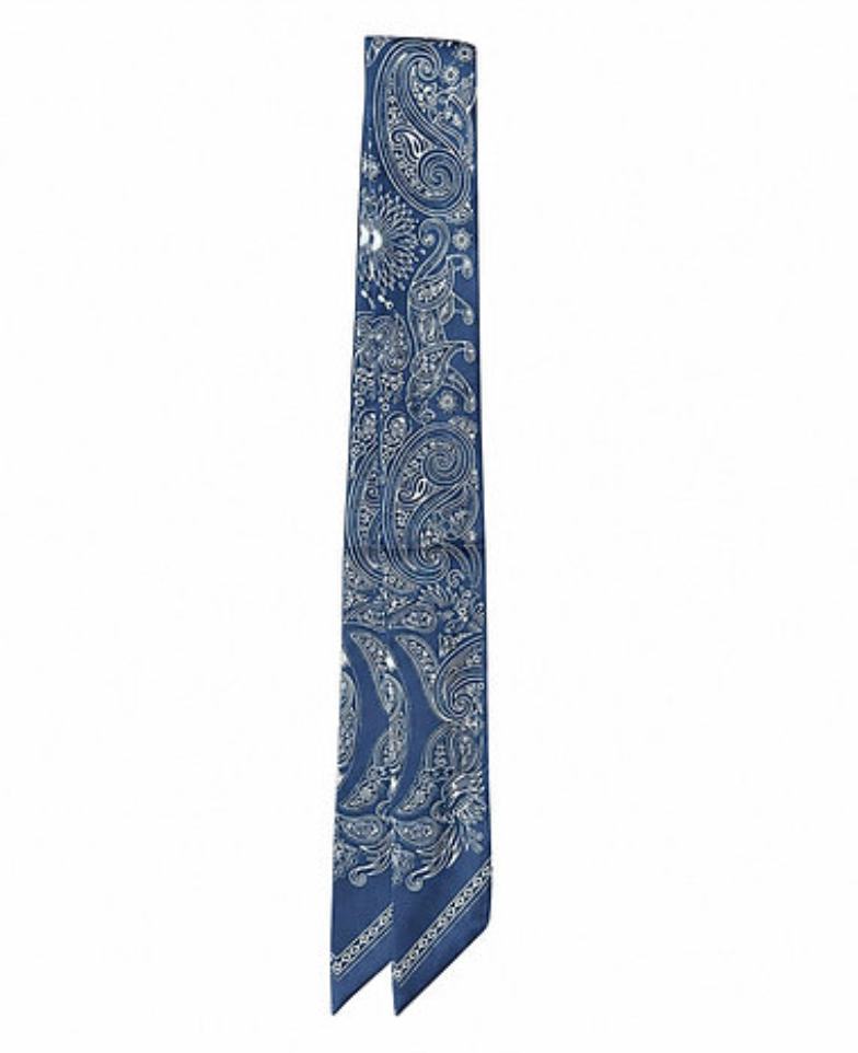 Printed Horse Twilly Scarf