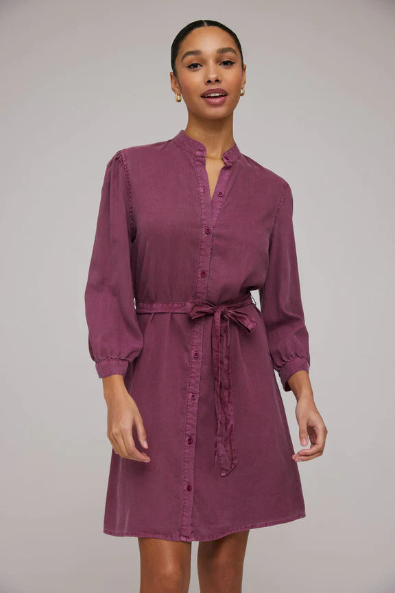 Purple Berry Puff Sleeve Belted Dress